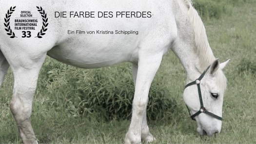 FlyerDieFarbedesPferdes